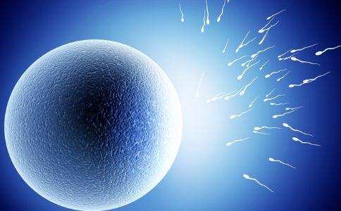 供卵代生医院